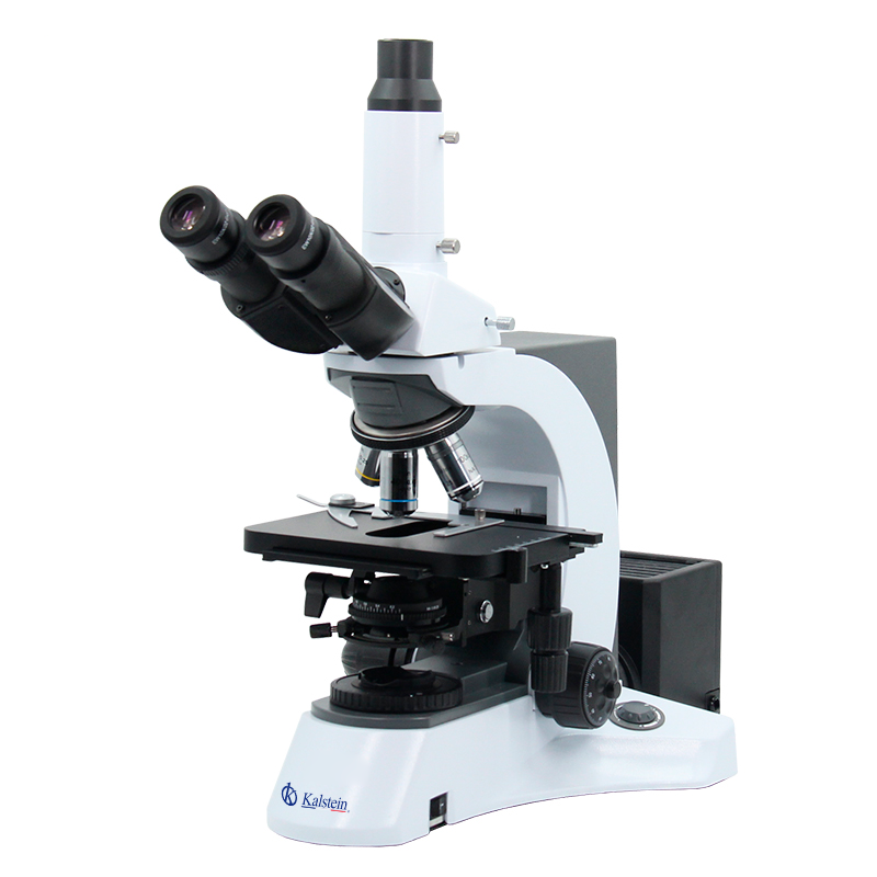 Trinocular Laboratory Microscope YR0231