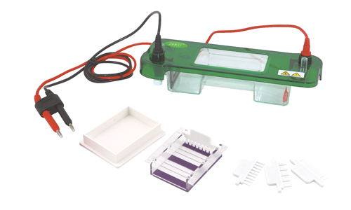 Horizontal Electrophoresis Cell YR03415