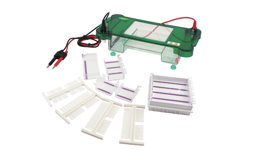 Horizontal Electrophoresis YR03417