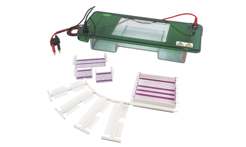 Horizontal Electrophoresis YR03418