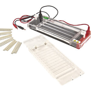 Horizontal Electrophoresis YR03422
