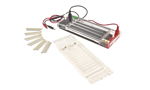 Horizontal Electrophoresis YR03422