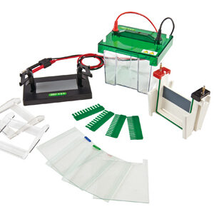 Mini-Protean Vertical Electrophoresis Cell YR03425