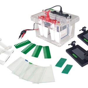 Mini-Protean Vertical Electrophoresis Cell YR03426