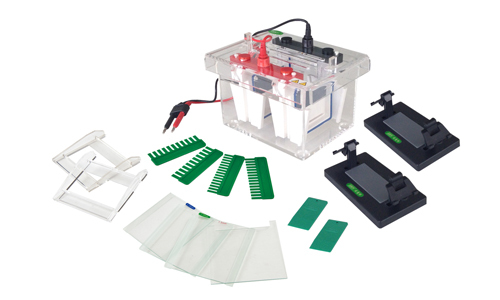 Mini-Protean Vertical Electrophoresis Cell YR03426