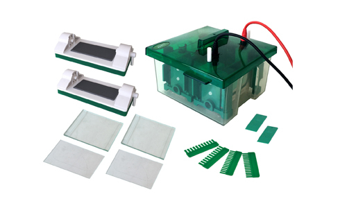 Mini-Protean Vertical Electrophoresis Cell YR03427