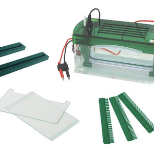 Vertical Electrophoresis Tank YR03428