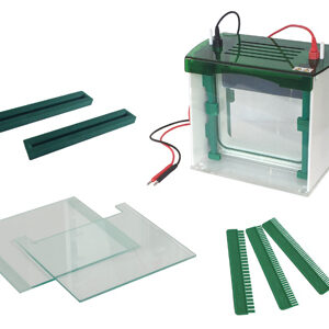 Vertical Gel Electrophoresis Cell YR03429