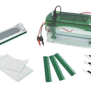 Rapid SSR Vertical Electrophoresis YR03430