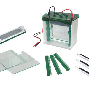 Rapid SSR Vertical Electrophoresis Tank YR03431