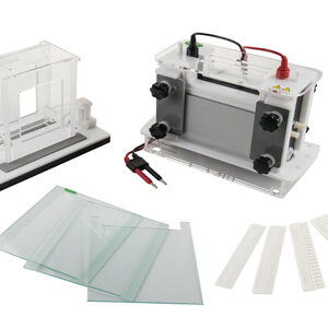 Vertical Electrophoresis Tank YR03432