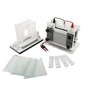 Vertical Electrophoresis Tank YR03433