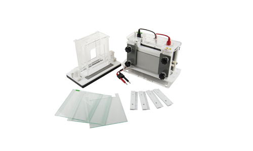 Vertical Electrophoresis Tank YR03433