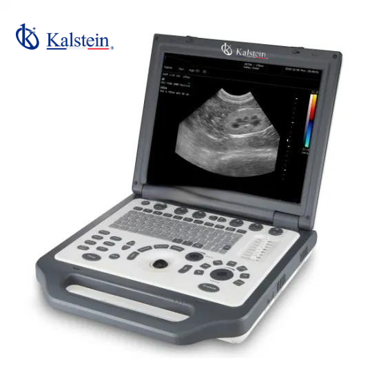 Laptop Veterinary Color Doppler YR06139